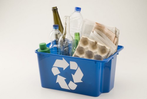 Clean garden with professional waste removal